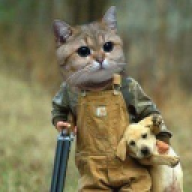 LuckyTheCat