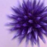 Thistle